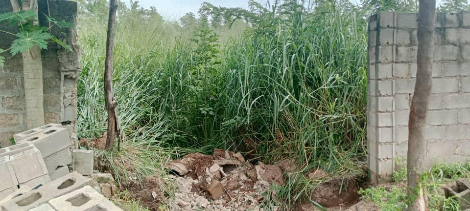 Oluyole Estate Grammar School 